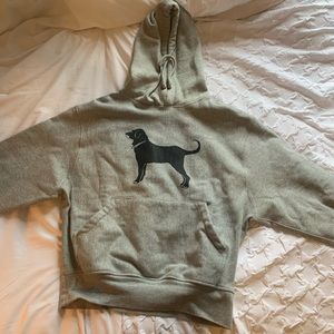 THE BLACK DOG grey hoodie